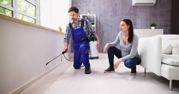 Best Residential Pest Control  in Diboll, TX